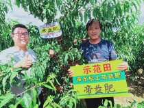 實驗示范3
