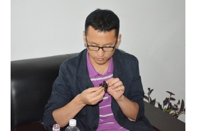 中國農(nóng)業(yè)大學(xué)副教授
